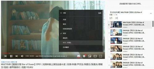 视频.国产,视频见证民族品牌新篇章
