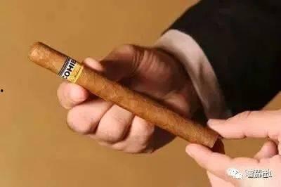 国产雪茄介绍图解视频,品味东方烟草艺术之旅  第2张