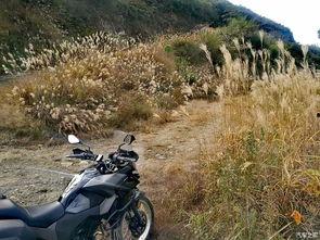 国产特殊公路视频,国产特殊公路的壮丽画卷  第3张