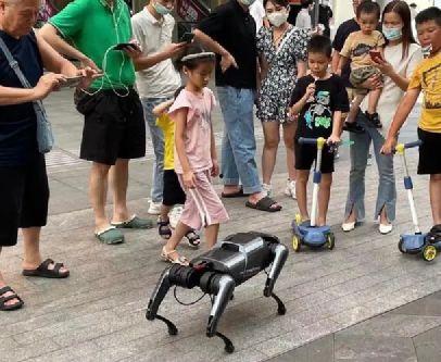 国产机器狗打架视频大全,精彩打架视频大盘点