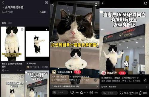 s国产精品视频网站  第2张